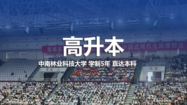 高升本