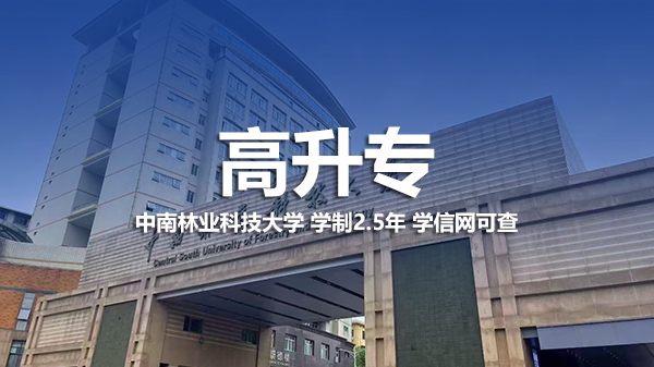 高升专